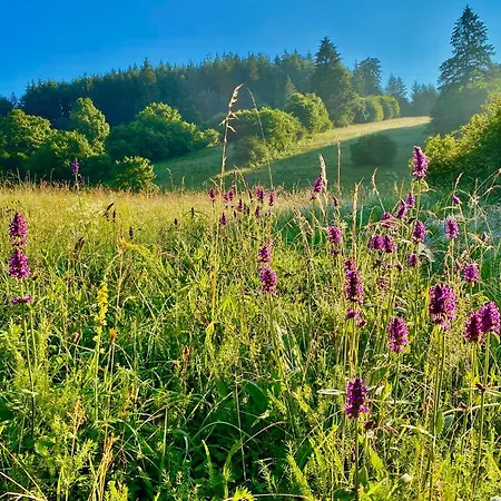 Dovolenkový dom Kamila *