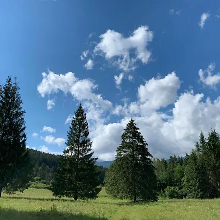 Dom wakacyjny Kamila