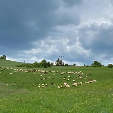 Kamila Dom wakacyjny *