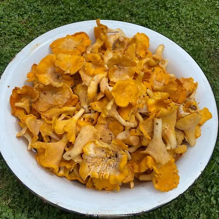 Kamila Dovolenkový dom *