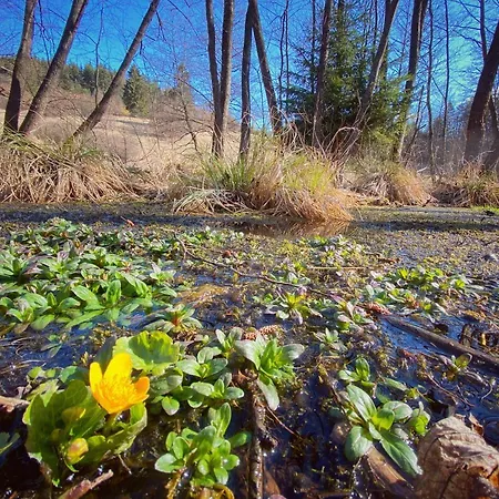 Kamila * Horná Lehota