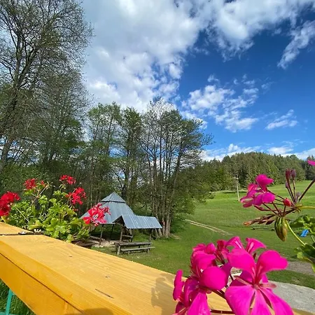 Dom wakacyjny Kamila Horná Lehota