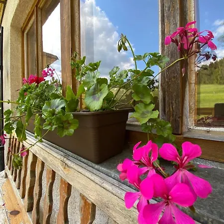 Kamila Dovolenkový dom *